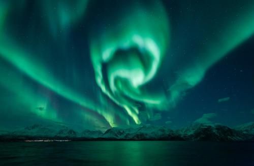 Magic Mountain Lodge - Lyngen