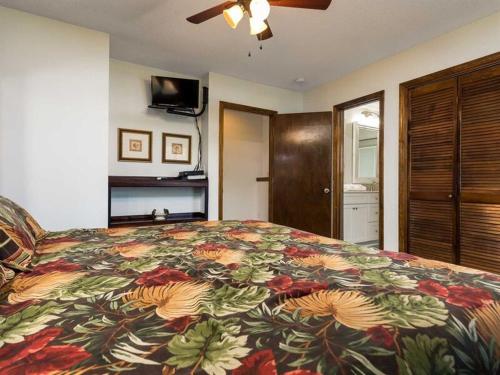 Conch Out by Meyer Vacation Rentals - image 2
