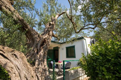 Apartment Klek 16545b - image 12