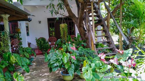 Sigiriya River Side Home Stay