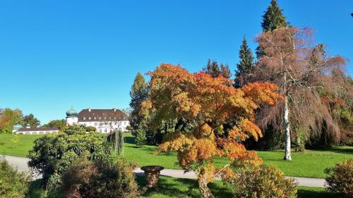 Schloss Höhenried