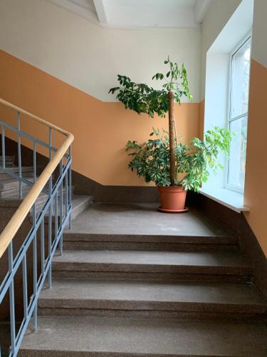 Park apartment 24