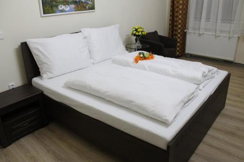 Pension TV in Plana U Marianskih Lazni
