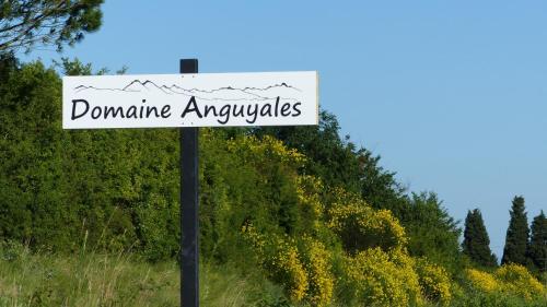 Domaine Anguyales