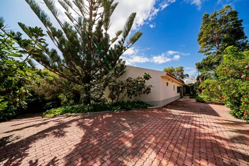 Villa Albatroz - image 12