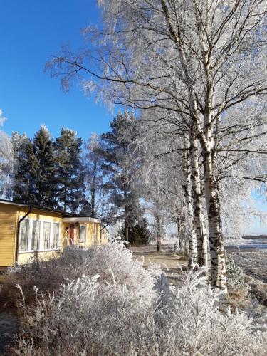 Jeppo Guesthouses - image 3