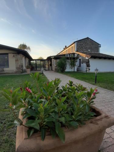  locanda della pacchiana in San Salvatore Telesino
