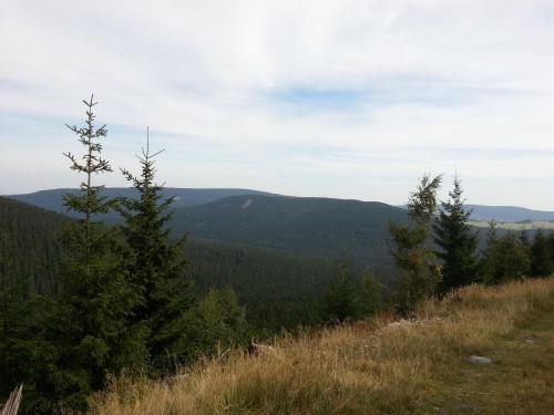 Penzion U mlýna - image 7
