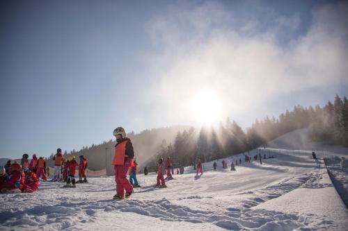 Lake Peak Apartments, Ribniško Pohorje