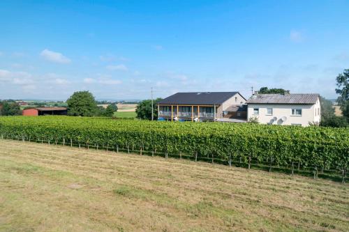 Winzerhof Schmid in Schwaigern, Deutschland
