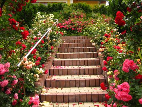 Weingut Lambauer - image 4