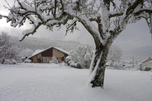 Entre lac et pistes