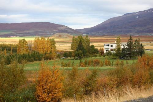 Áshóll guesthouse - farmstay