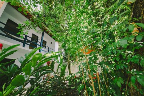 

Apartamentos La Provence