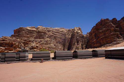 bedouins life camp