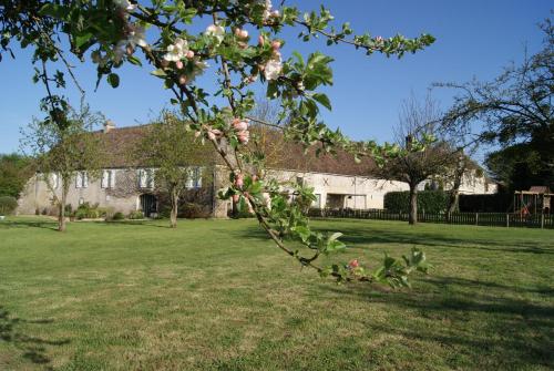 grădină, Manoir de la Pataudiere B&B in Falaise