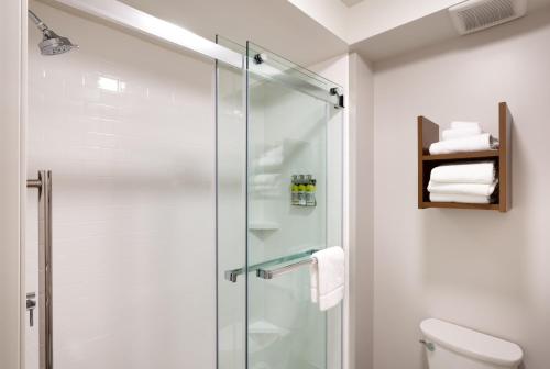 King Studio Suite with Mobility Accessible Roll In Shower - Non-Smoking
