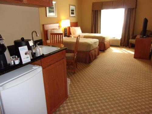 Holiday Inn Express Hotel & Suites Chicago West Roselle an IHG Hotel - image 8
