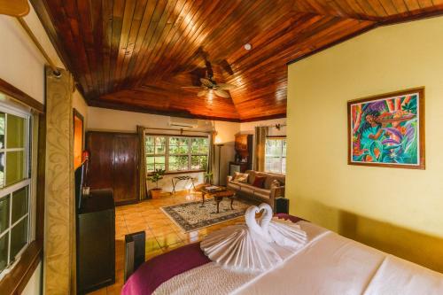 View, KikiWitz Resort in Belmopan