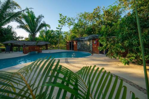 Swimming pool, KikiWitz Resort in Belmopan