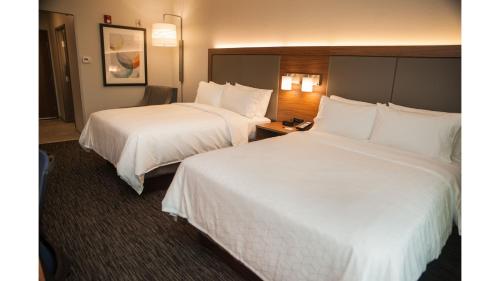 Holiday Inn Express Hotel & Suites Norfolk