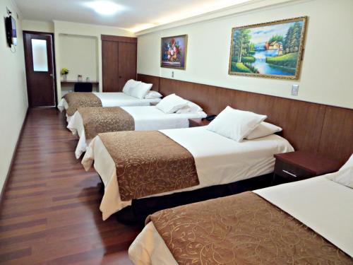 . Hotel Newen