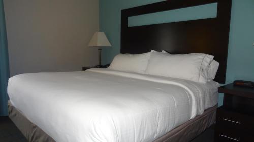 Holiday Inn Express Hotel Kansas City - Bonner Springs, an IHG Hotel