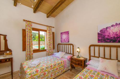 Finca SA ROTA - image 11