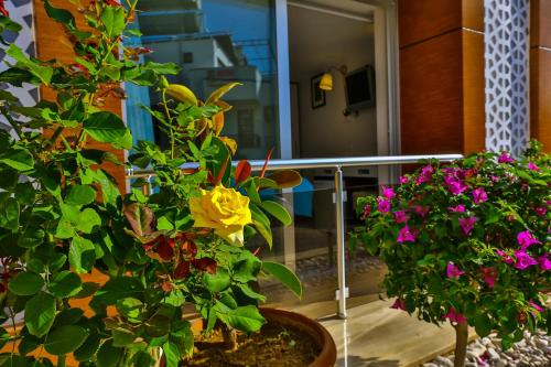 Hotel Sonne - Adults Only - image 2