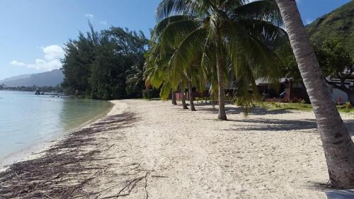 MOOREA - Fare Taina Dream, Hauru (foto 3)