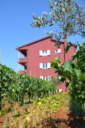 Apartments Roža Medulin 