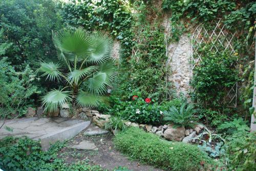 B&B Villa Feline – Cannes, CT