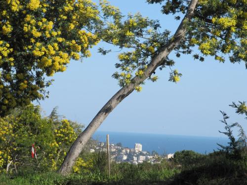 B&B Villa Feline – Cannes, CT