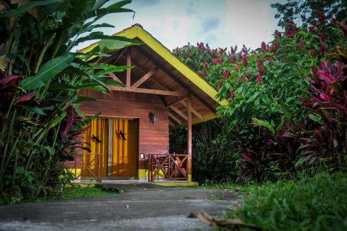 B&B La Fortuna - Selvita Lodge Arenal - Bed and Breakfast La Fortuna