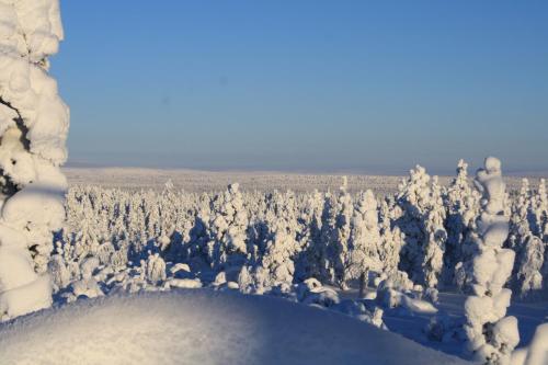 Ounasloma Luxury Cottages - image 4