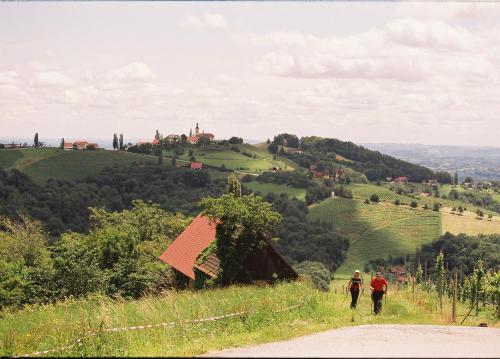 Weingut Lambauer - image 2