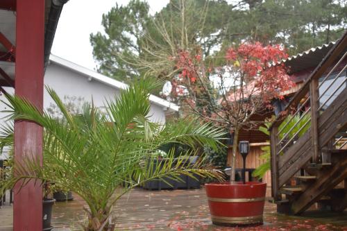 Chez Augustin – Lacanau-Ocean, FL