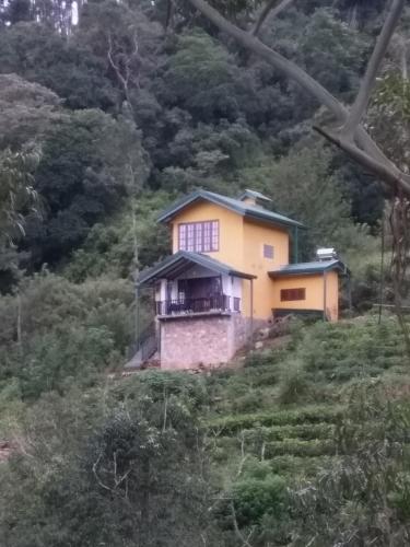 High Grove Tea Cottage