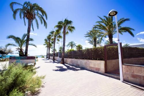 Estrella de Mar Denia - image 5