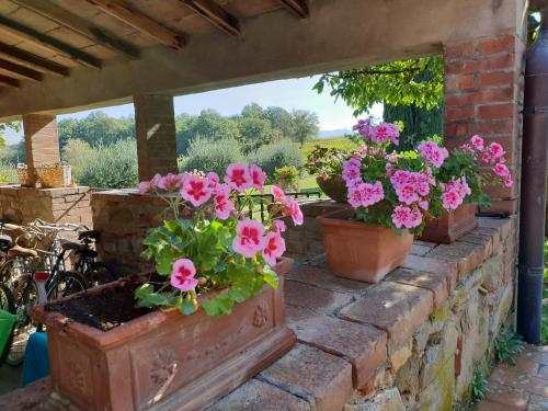 Agriturismo Il Sole Verde