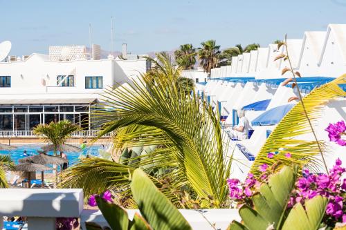 Cinco Plazas - image 6
