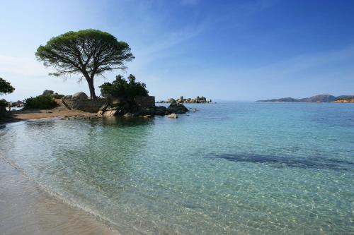 Golden Tulip Porto Vecchio-Ouverture été 2021 - main image