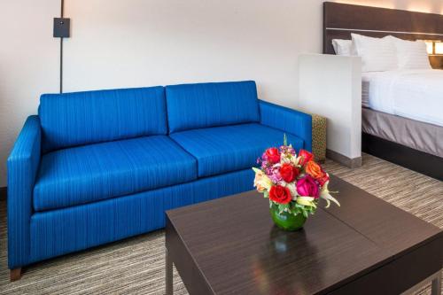 Holiday Inn Express & Suites - Tampa North - Wesley Chapel an IHG Hotel - image 3