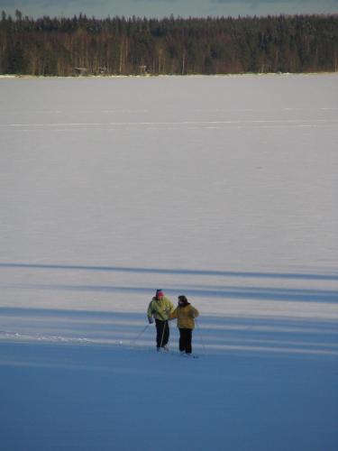 Honkiniemi