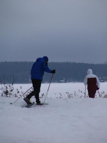 Honkiniemi