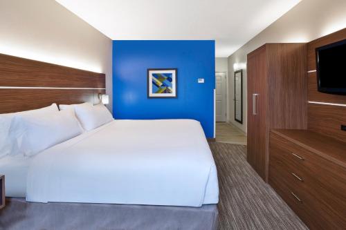 Holiday Inn Express Hotel & Suites Alcoa Knoxville Airport