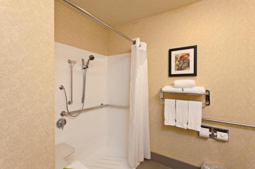 Standard King Room with Roll-in Shower - Mobility Accessible
