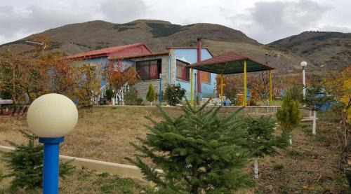 Bujtina Dervishi - image 5