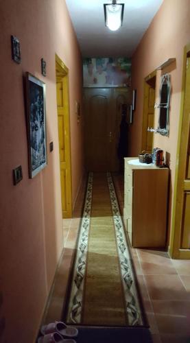 Bujtina Dervishi - image 6