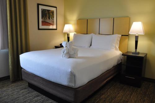 Candlewood Suites Washington-Dulles Herndon, an IHG Hotel